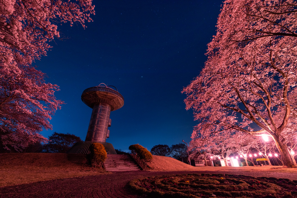 桜と“うしかい座”