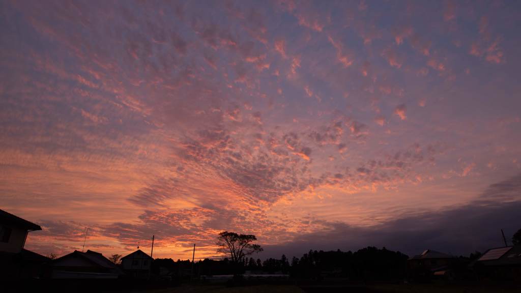 夕暮れ
