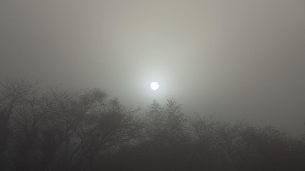 霧の中から朝日