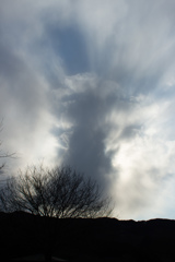 雲