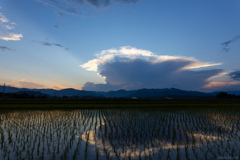 雨の予感