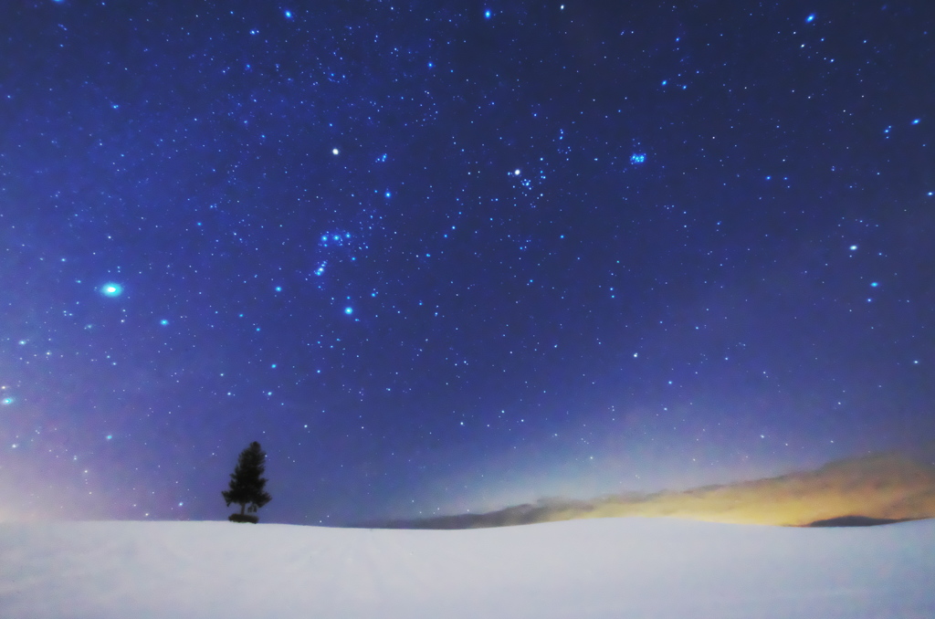 雪原の星屑たち