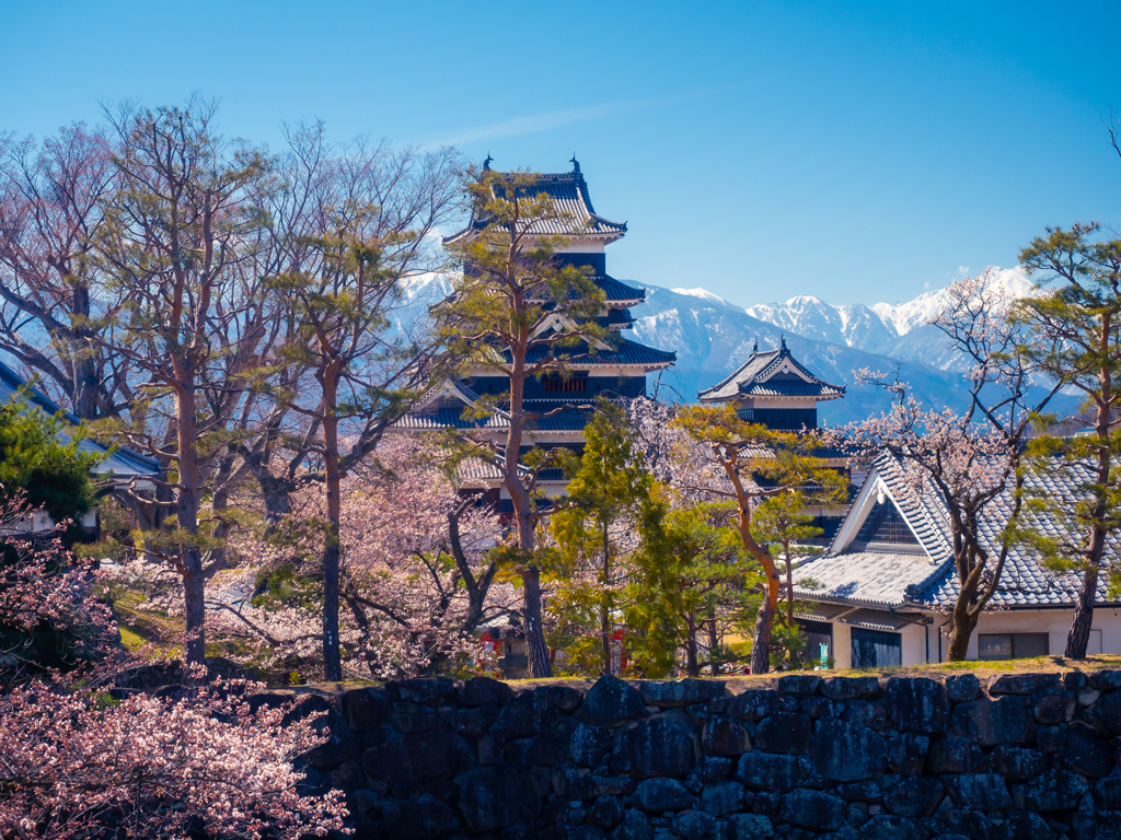 松本城