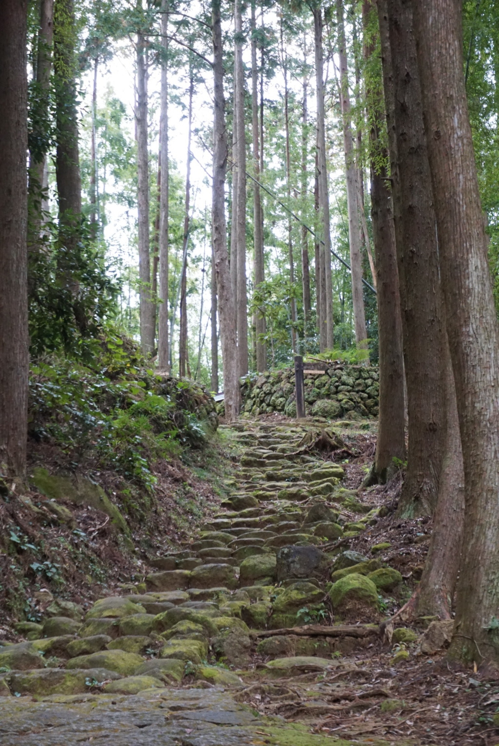 熊野古道の石畳