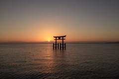 白髭神社パート1