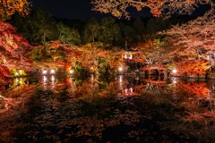 醍醐寺