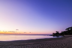 桂浜の夜明け