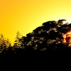 Setting sun