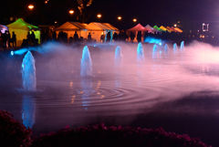 Misty pond