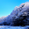 雪化粧