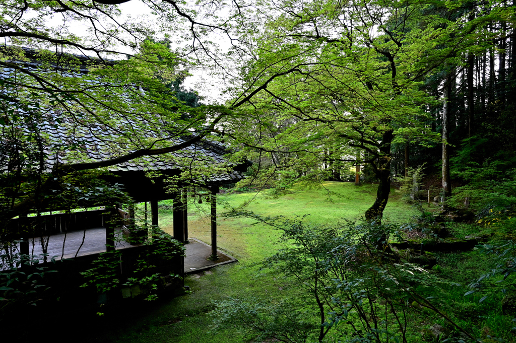 緑の静寂