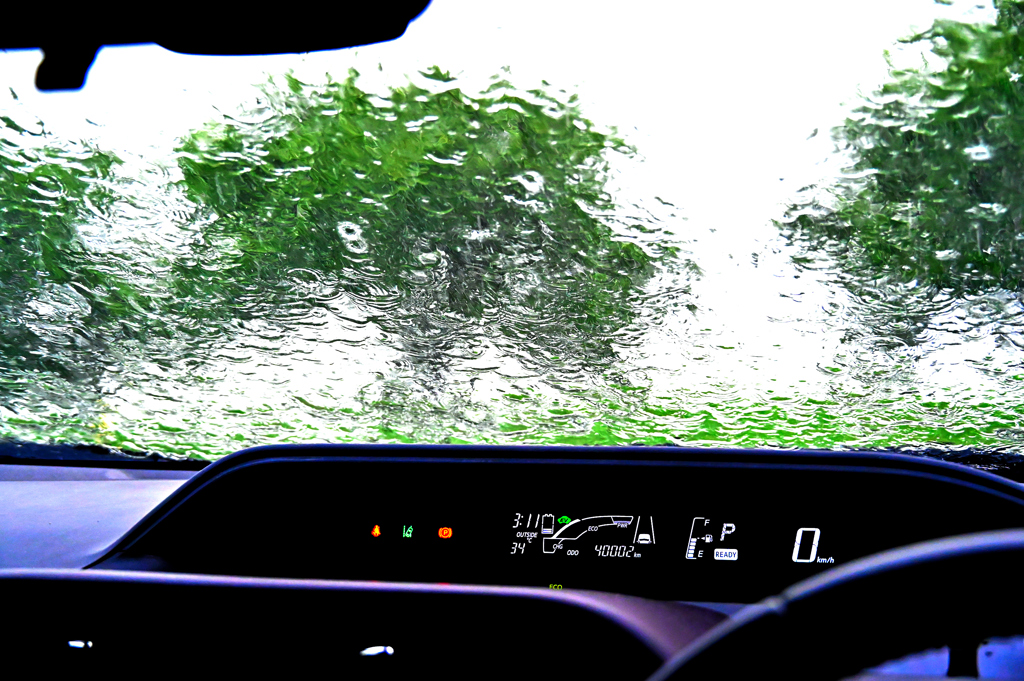 Heavy Rain
