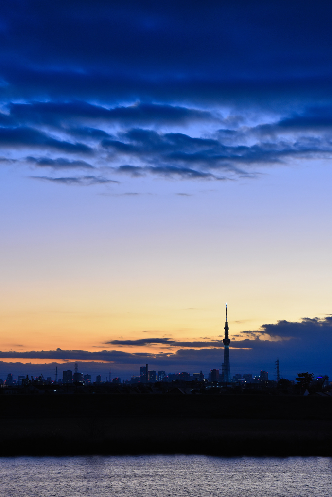 江戸川夕景