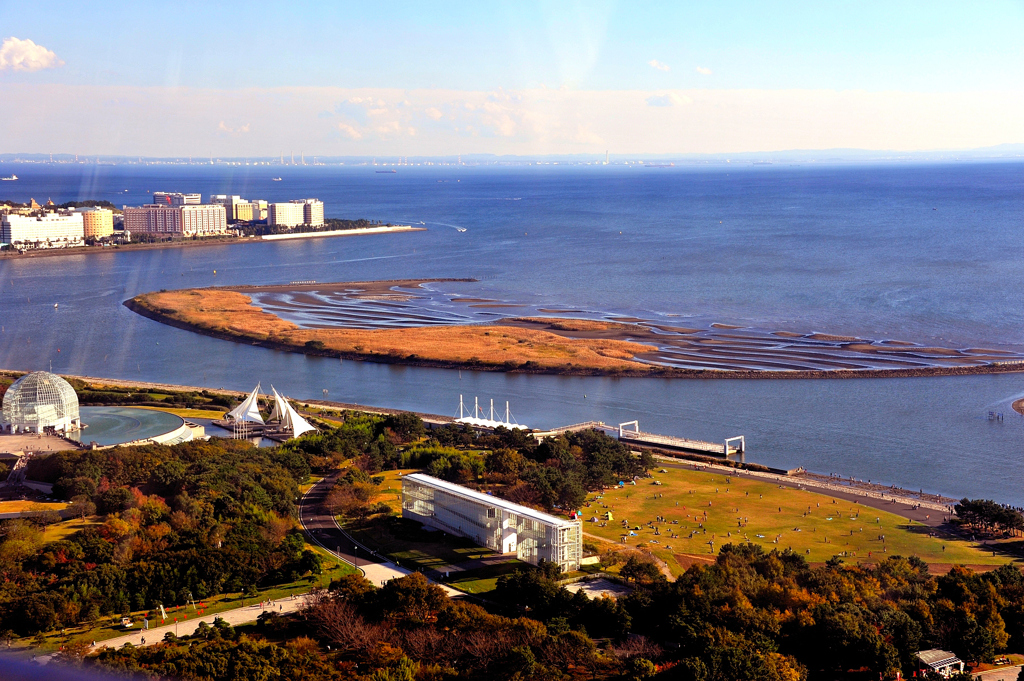 葛西の公園