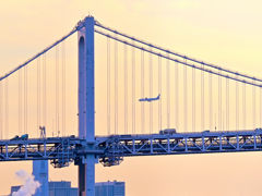 レインボーブリッジを渡る飛行機