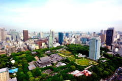 増上寺 芝公園2011