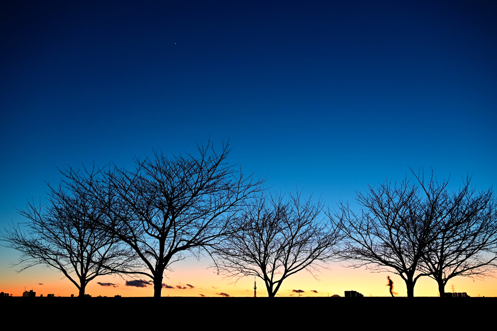 江戸川夕景