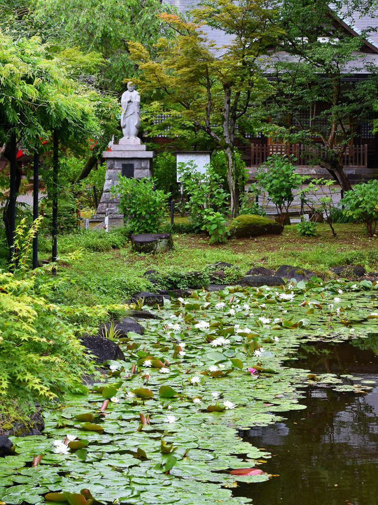 静かな本土寺