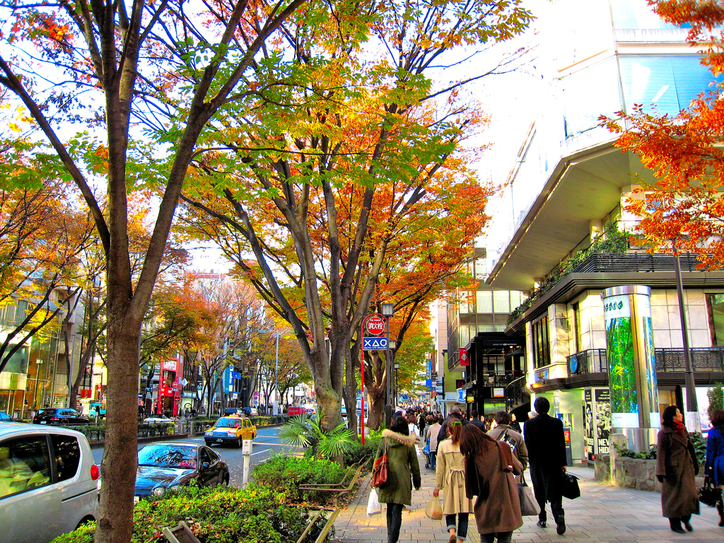 晩秋の表参道2007