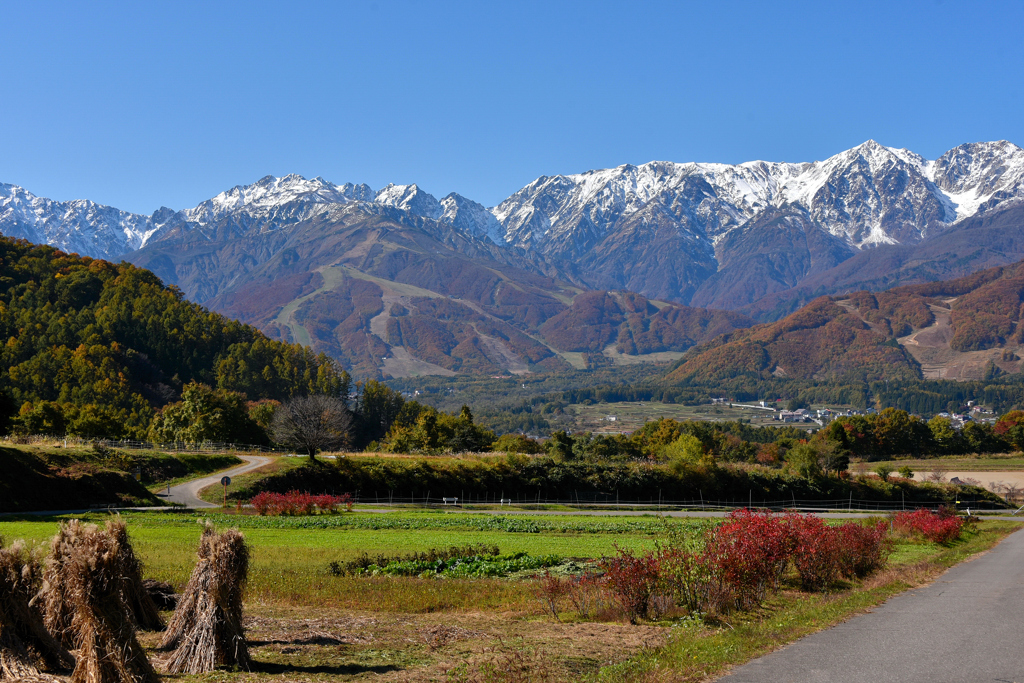 里山