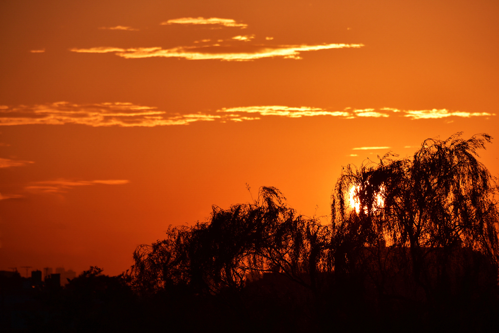 Setting Sun・・成田
