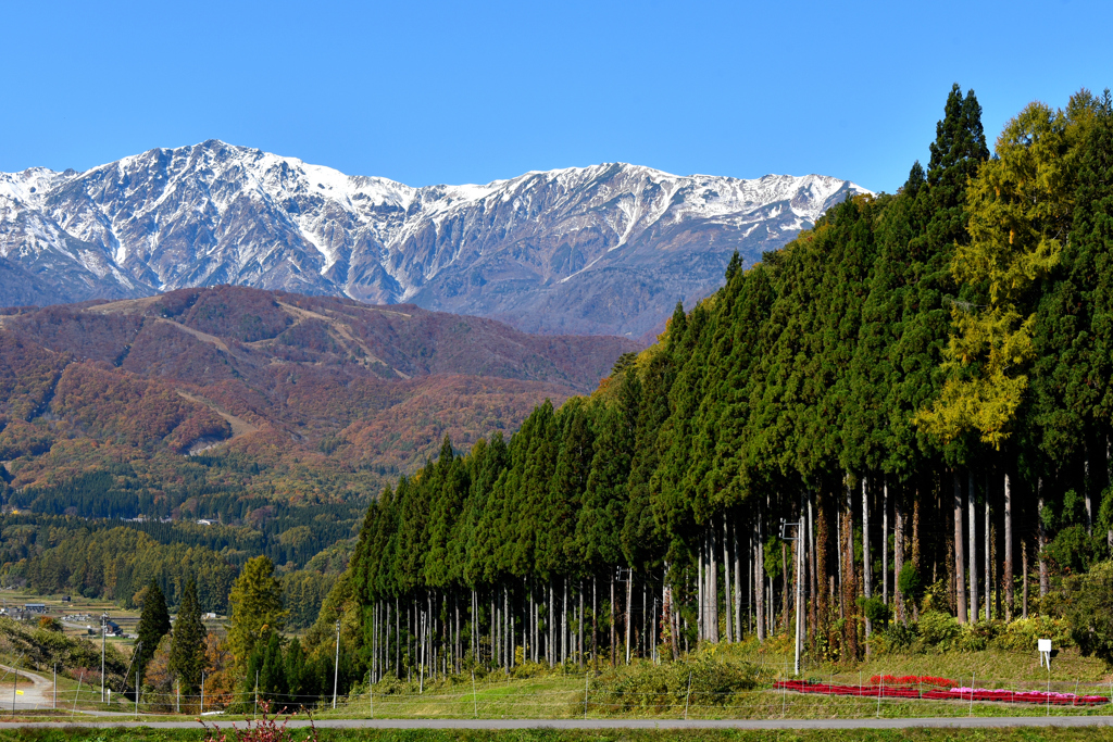 里山の秋