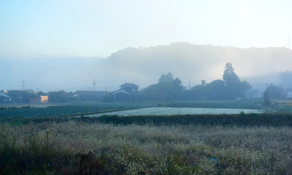 霧の朝