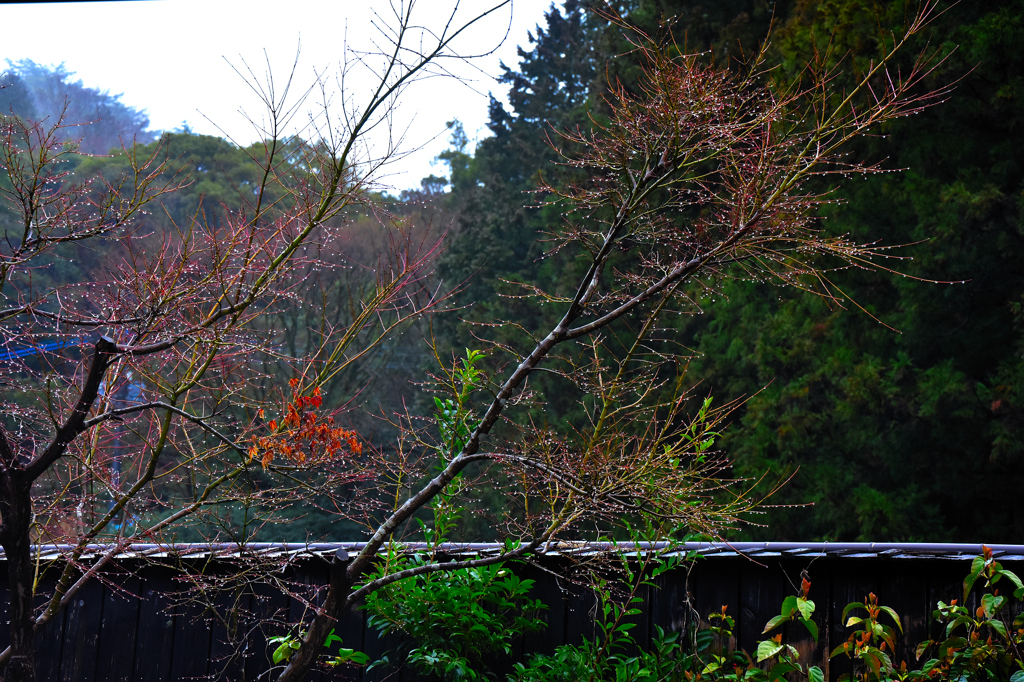 雨滴