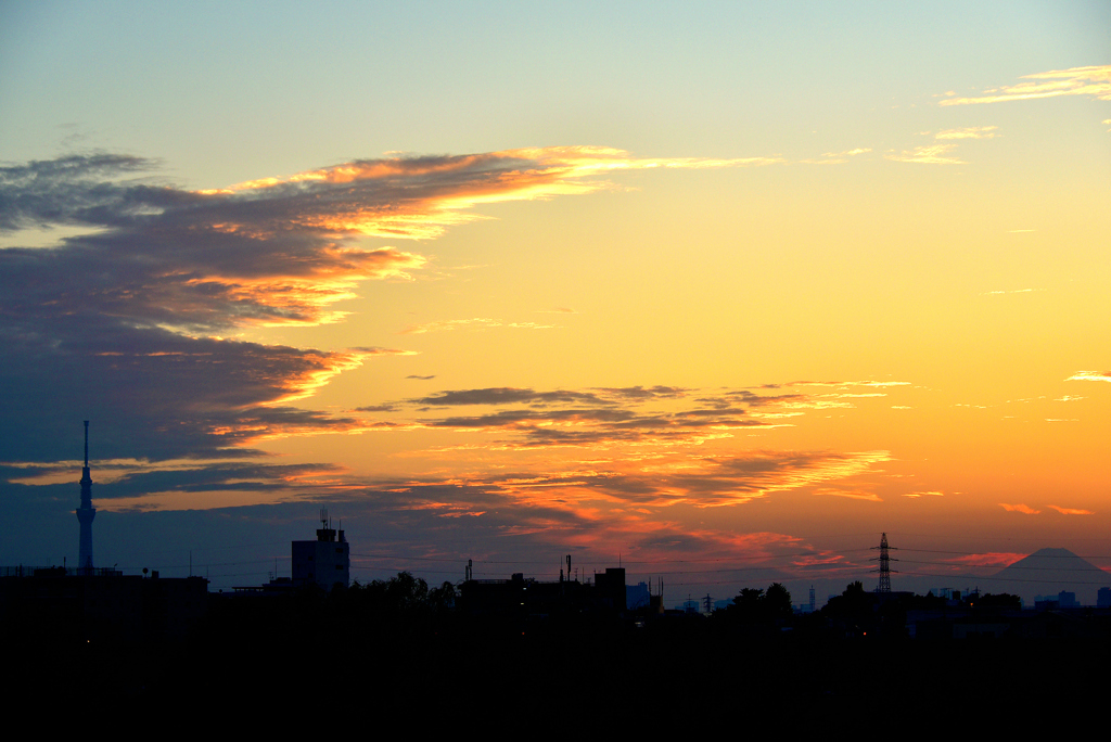 江戸川の夕陽2 