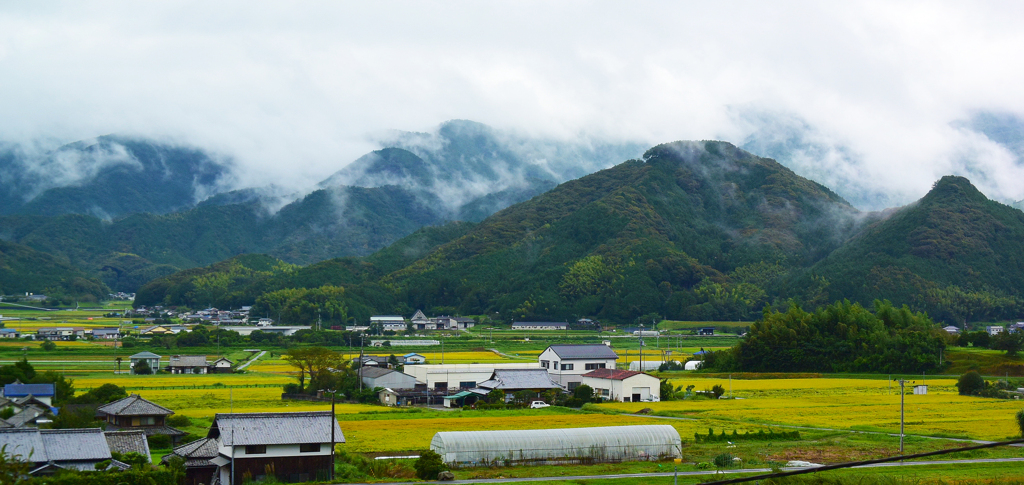 雲が散る・・愛媛県