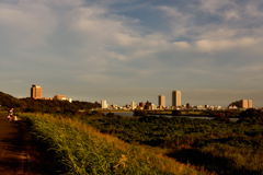 江戸川夕景