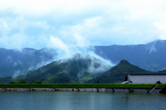 湯気のように