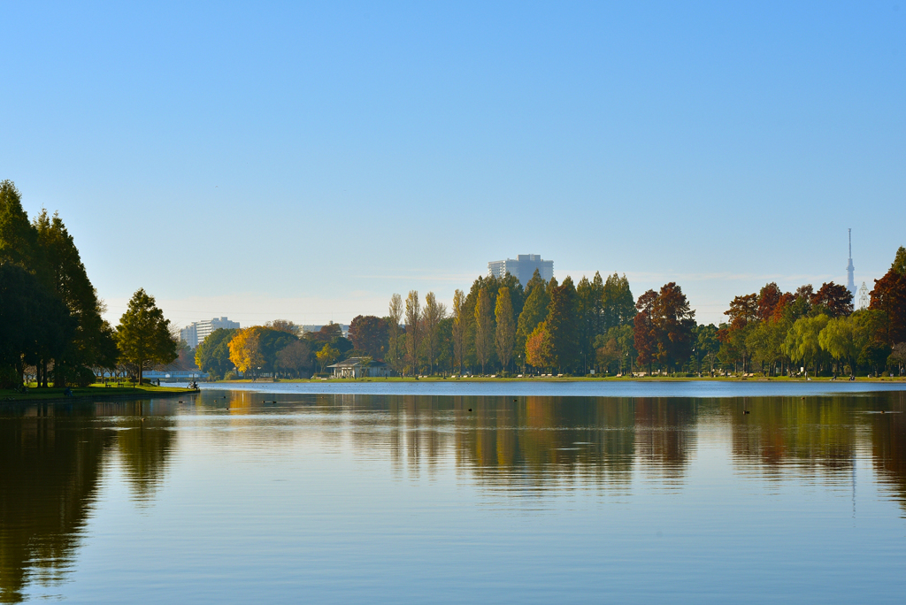 朝の公園