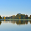朝の公園