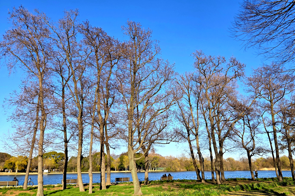 寒空の公園 by P20B (ID:13405386) - 写真共有サイト:PHOTOHITO