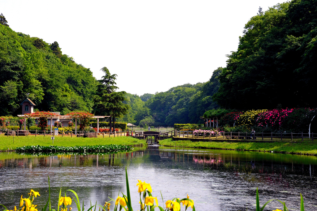 バラ園のある公園