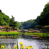 バラ園のある公園