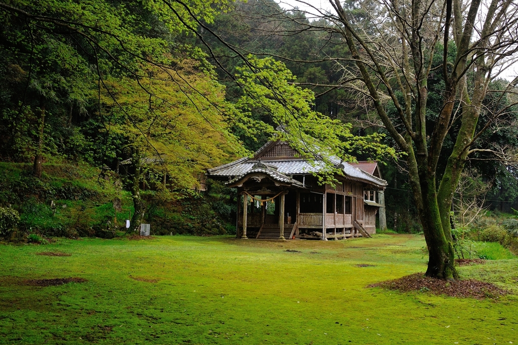春を迎える神社