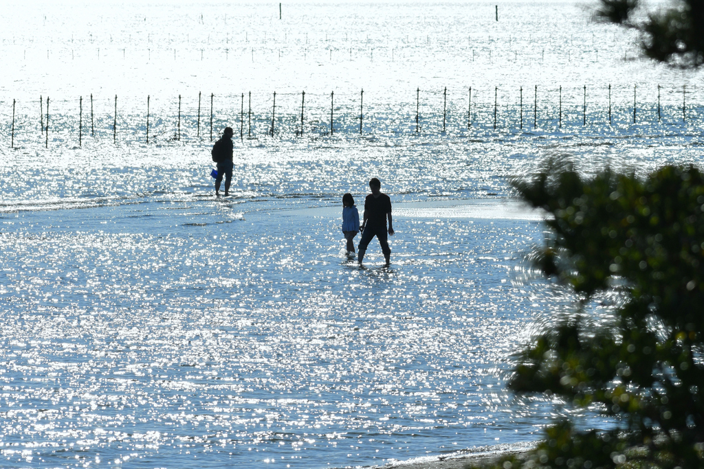 銀色の浜辺で・・