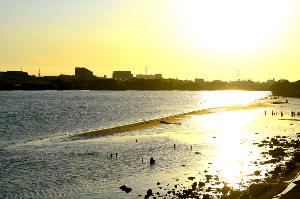 江戸川夕景