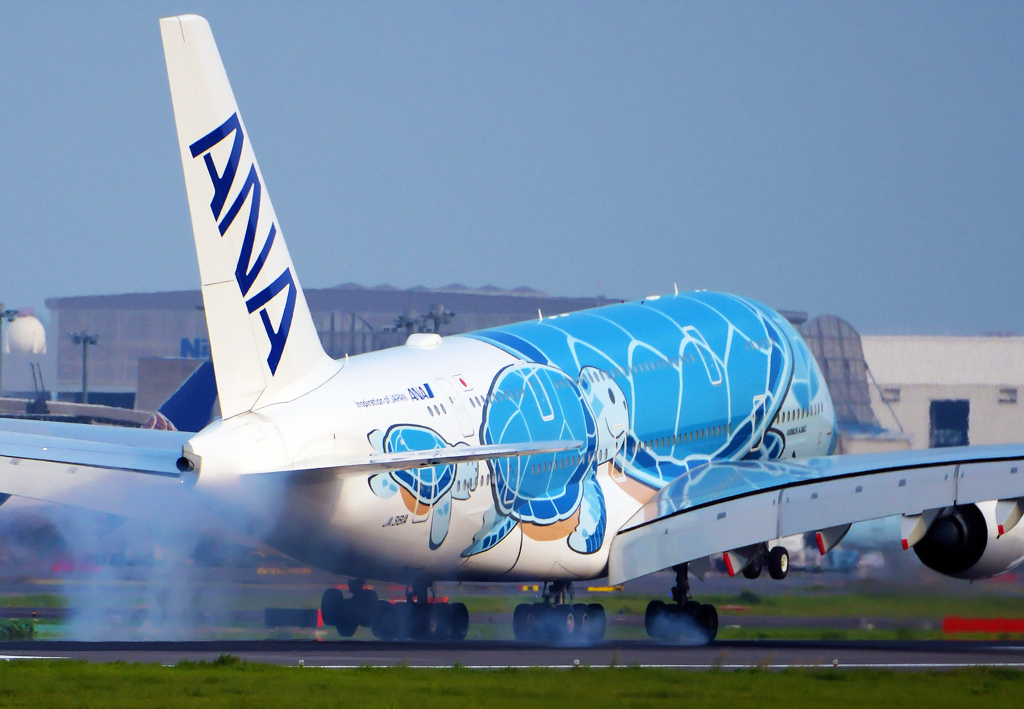 ANA A380 "Flying Honu" 初号機