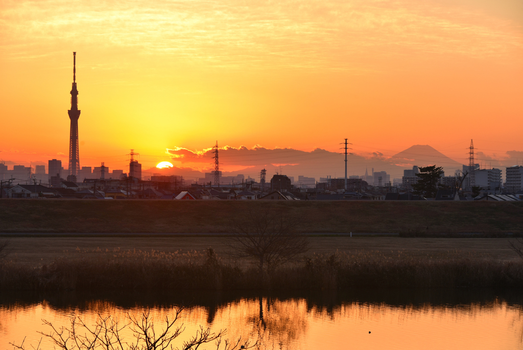 江戸川サンセット