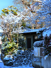 雪景色