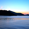 宇和島の海 夕景2008