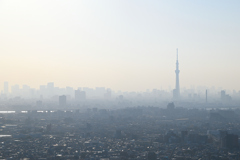 霞むTOKYO