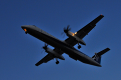 Evening arrival