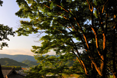 夕日に焼ける