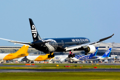 黒塗りニュージーランド機