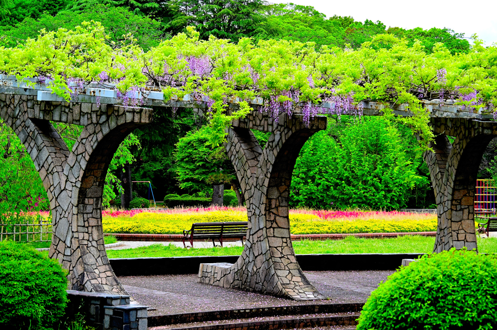 藤棚のある公園
