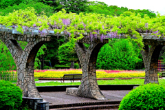 藤棚のある公園